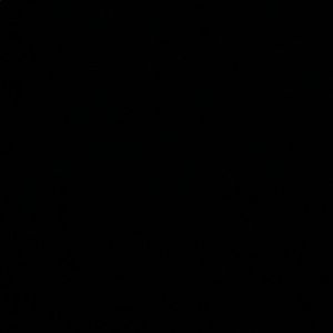 Meet your Posher, Mia